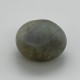 Cat's Eye (Lahsunia) 12.55 Ct Gem Quality Cat's Eye (Lahsunia) 12.55 Ct Gem Quality